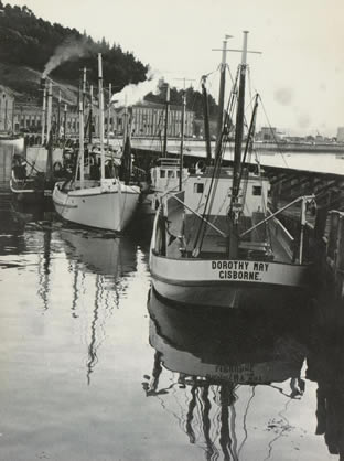 Dorothy May